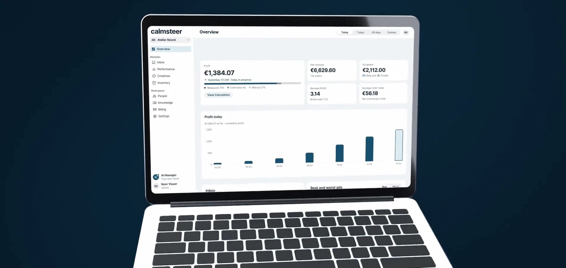 Calmsteer Overview on a laptop: profit, revenue, ad spend and ROAS